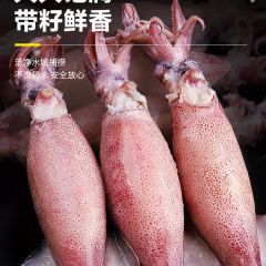 海兔子满籽鲜活笔管鱼海鲜新鲜全籽籽乌冷冻墨鱼仔乌贼小鱿鱼水产
