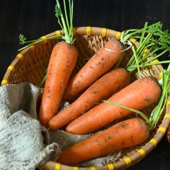 有机方式新鲜蔬菜胡萝卜