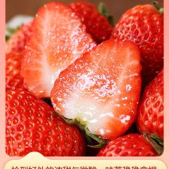 正宗红颜奶油草莓99红颜牛奶大奶油新鲜水果礼盒当季整箱包邮顺丰